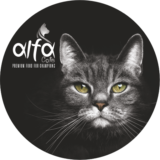 Alfa Cats