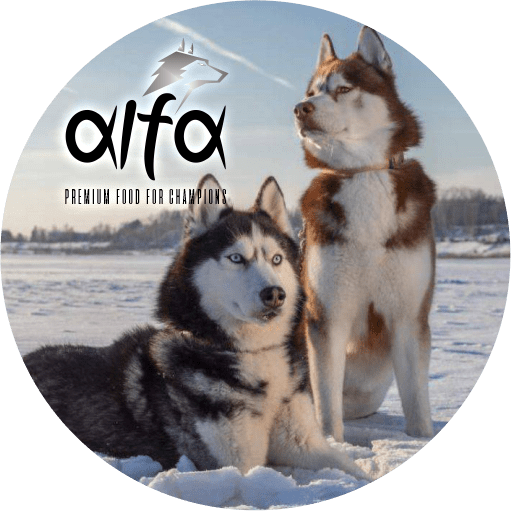 Alfa Dogs