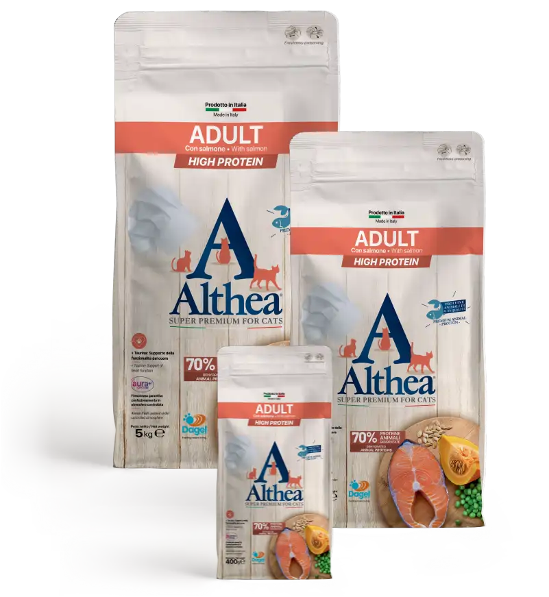 ALTHEA CAT Salmone